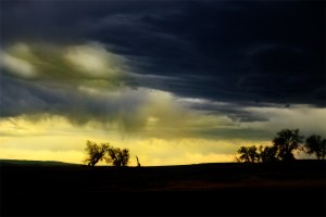 Mother Nature says DIVEST from fossil fuels