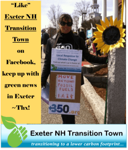Exeter NH Transition Town 2015 like us